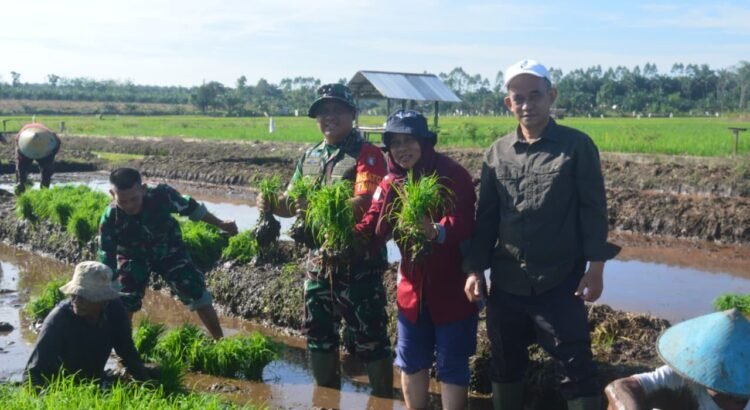 Dandim 1014/Pbn Letkol Inf Makin S.Sos., M.I.P. bersama Kabid PSP Ibu Noreti, Kabid Tanaman Pangan Bapak H. Iskandar